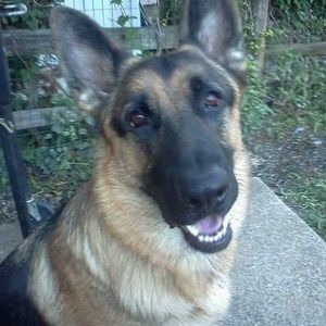 Meet your Posher, Terry